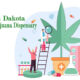 South Dakota Medical Marijuana Dispensary License Application