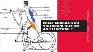 What Body Parts Does the Elliptical Machine Target?